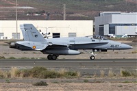 Florencio Martn Melin - Lanzarote Spotters. Click to see full size photo