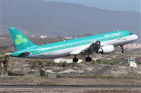 ©Alfonso Solís - Asociación Canary Islands Spotting. Click to see full size photo ©Alfonso Solís - Asociación Canary Islands Spotting. Click to see full size photo