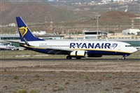©Alfonso Solís - Asociación Canary Islands Spotting. Click to see full size photo ©Alfonso Solís - Asociación Canary Islands Spotting. Click to see full size photo