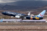 Javier de la Cruz - CANARY ISLANDS SPOTTING. Click to see full size photo