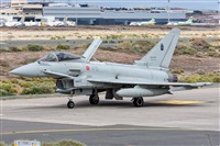 Bartolom Fernndez - Gran Canaria Spotters. Click to see full size photo