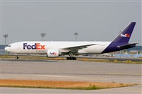 Miguel A. gueda Rguez.  (CANARY ISLANDS SPOTTING). Click to see full size photo