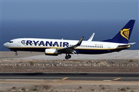 Alfonso Sols - Asociacin Canary Islands Spotting. Click to see full size photo