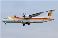 ©Saimon J Rodriguez - Canary Islands Spotting. Click to see full size photo ©Saimon J Rodriguez - Canary Islands Spotting. Click to see full size photo