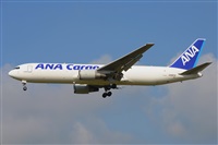Miguel A. gueda Rguez.  (CANARY ISLANDS SPOTTING). Click to see full size photo