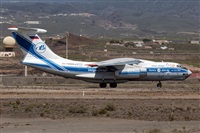 Javier de la Cruz - CANARY ISLANDS SPOTTING. Click to see full size photo