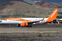 Alfonso Sols - Asociacin Canary Islands Spotting. Haz click para ampliar