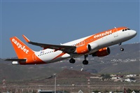 Alfonso Sols - Asociacin Canary Islands Spotting. Click to see full size photo