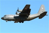 Alejandro H.L - Gran Canaria Spotters. Click to see full size photo