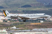 Adolfo Bento - Gran Canaria Spotters. Click to see full size photo