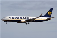Alfonso Sols - Asociacin Canary Islands Spotting. Click to see full size photo