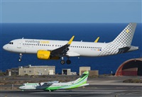 ©Alejandro H.L - Gran Canaria Spotters. Click to see full size photo ©Alejandro H.L - Gran Canaria Spotters. Click to see full size photo