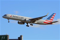 Miguel A. gueda Rguez.  (CANARY ISLANDS SPOTTING). Click to see full size photo