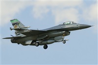 Tams. Click to see full size photo