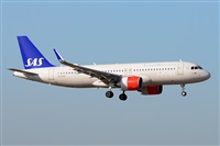 Miguel A. gueda Rguez.  (CANARY ISLANDS SPOTTING). Click to see full size photo