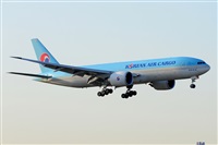 Miguel A. gueda Rguez.  (CANARY ISLANDS SPOTTING). Haz click para ampliar