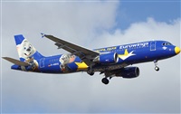 ©Francisco Garcia Romero - LPA. Spotter.. Click to see full size photo ©Francisco Garcia Romero - LPA. Spotter.. Click to see full size photo
