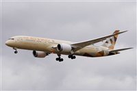 Miguel A. gueda Rguez.  (CANARY ISLANDS SPOTTING). Haz click para ampliar