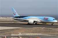 ©Alfonso Solís - Asociación Canary Islands Spotting. Click to see full size photo ©Alfonso Solís - Asociación Canary Islands Spotting. Click to see full size photo