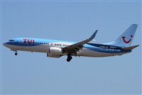 Alfonso Sols - Asociacin Canary Islands Spotting. Click to see full size photo