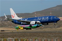 Miguel A. gueda Rguez.  (CANARY ISLANDS SPOTTING). Click to see full size photo