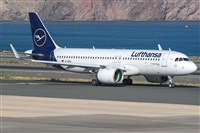 Adolfo Bento - Gran Canaria Spotters. Click to see full size photo