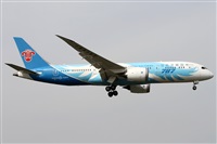 ©Alfonso Solís - Asociación Canary Islands Spotting. Click to see full size photo ©Alfonso Solís - Asociación Canary Islands Spotting. Click to see full size photo