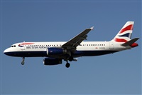 Alfonso Sols - Asociacin Canary Islands Spotting. Click to see full size photo