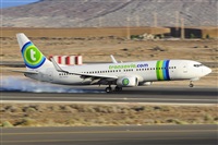 Miguel A. gueda Rguez.  (CANARY ISLANDS SPOTTING). Click to see full size photo