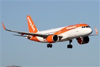 ©Alfonso Solís - Asociación Canary Islands Spotting. Click to see full size photo ©Alfonso Solís - Asociación Canary Islands Spotting. Click to see full size photo