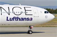 Miguel A. gueda Rguez.  (CANARY ISLANDS SPOTTING). Click to see full size photo