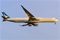 Miguel A. gueda Rguez.  (CANARY ISLANDS SPOTTING). Click to see full size photo