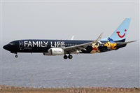 Alfonso Sols - Asociacin Canary Islands Spotting. Click to see full size photo