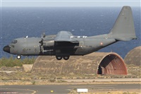 Adolfo Bento - Gran Canaria Spotters. Haz click para ampliar