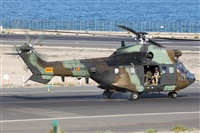 Adrin Alonso Lemes - Lanzarote Spotters. Click to see full size photo
