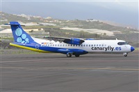 Miguel A. gueda Rguez.  (CANARY ISLANDS SPOTTING). Click to see full size photo