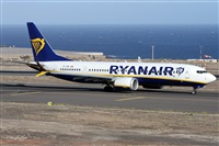 ©Alfonso Solís - Asociación Canary Islands Spotting. Click to see full size photo ©Alfonso Solís - Asociación Canary Islands Spotting. Click to see full size photo
