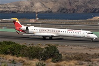 ©Adolfo Bento - Gran Canaria Spotters. Click to see full size photo ©Adolfo Bento - Gran Canaria Spotters. Click to see full size photo