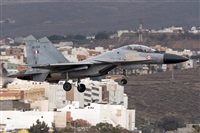 ©Adolfo Bento - Gran Canaria Spotters. Click to see full size photo ©Adolfo Bento - Gran Canaria Spotters. Click to see full size photo