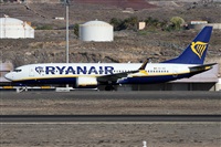 Alfonso Sols - Asociacin Canary Islands Spotting. Click to see full size photo