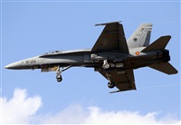 ©Javier Rodríguez. Click to see full size photo ©Javier Rodríguez. Click to see full size photo