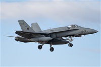 �Vicente Aguil�. Click to see full size photo