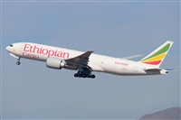 �Miguel A. �gueda Rguez.  (CANARY ISLANDS SPOTTING). Click to see full size photo