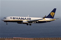 �Alfonso Sol�s - Asociaci�n Canary Islands Spotting. Click to see full size photo