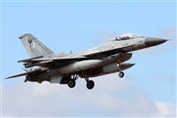 �Alfonso Sol�s - Asociaci�n Canary Islands Spotting. Click to see full size photo