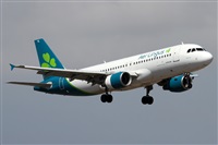 �Alfonso Sol�s - Asociaci�n Canary Islands Spotting. Click to see full size photo