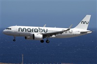 �Alfonso Sol�s - Asociaci�n Canary Islands Spotting. Click to see full size photo