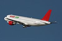 Jos Miguel Bernases - Noisy Spotters. Click to see full size photo