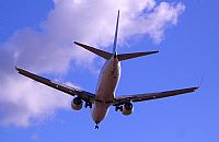 Adrin Alonso Lemes - Lanzarote Spotters. Click to see full size photo