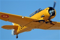 Javier Bozzino Barbudo. Click to see full size photo